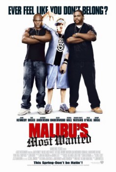 poster Malibu's Most Wanted