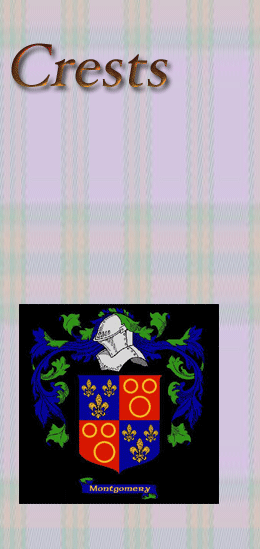 Opening Image